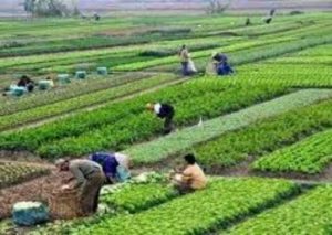 PhotoGrid_1564399624122