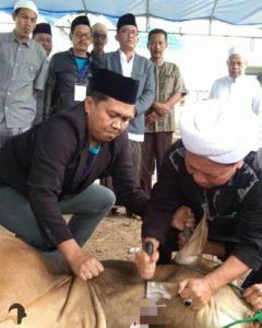 PhotoGrid_1565502907314