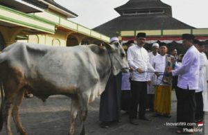 PhotoGrid_1565554852824