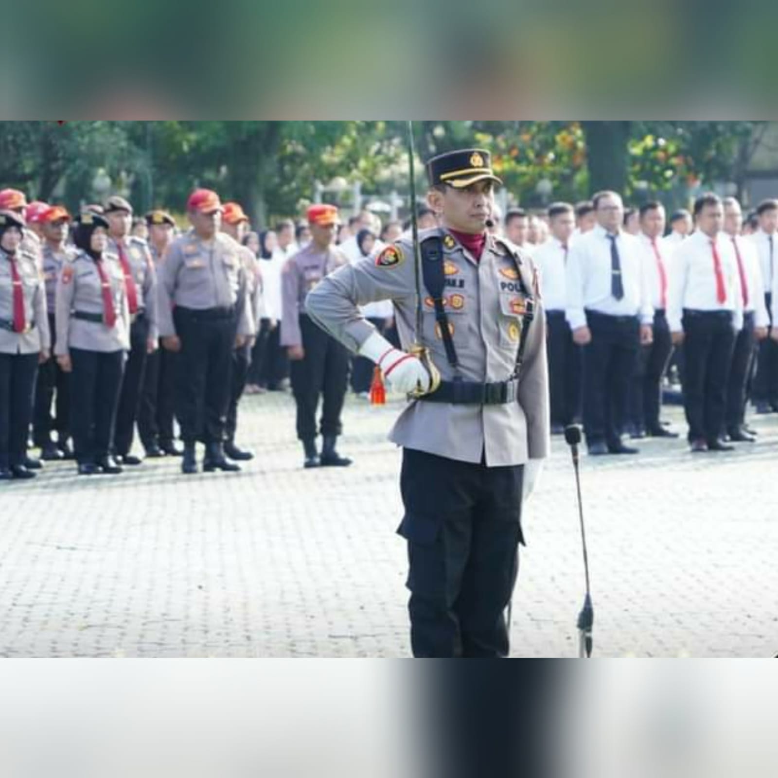 WhatsApp Image 2024-04-17 at 16.06.36_c7d8626d